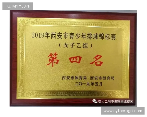 排球团队协作实力榜单公布上海排球队荣获第十名佳绩