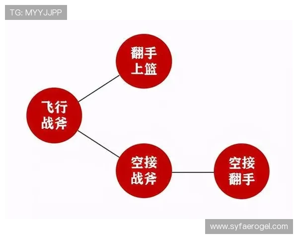深圳排球队配合策略深度解析与对比分析