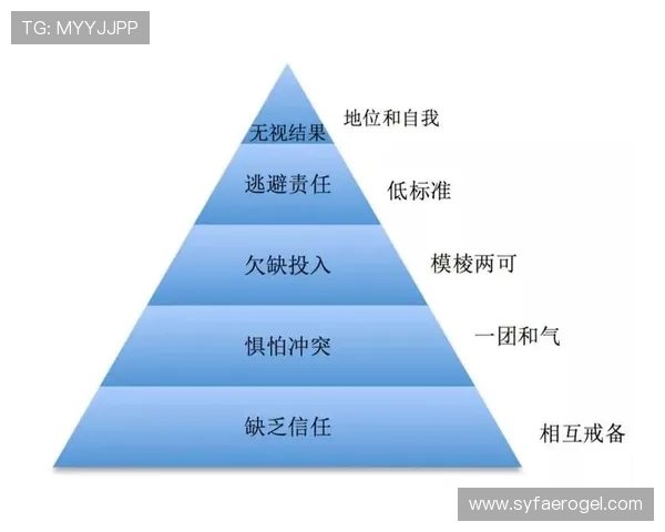 深圳网球队的团队协作与战术配合分析探讨