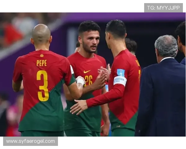 足球明星对马龙的喜爱程度及其背后的原因探讨