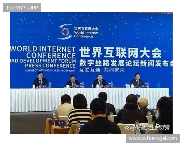 北京羽毛球队运营分析：成就与挑战并存的竞技之路