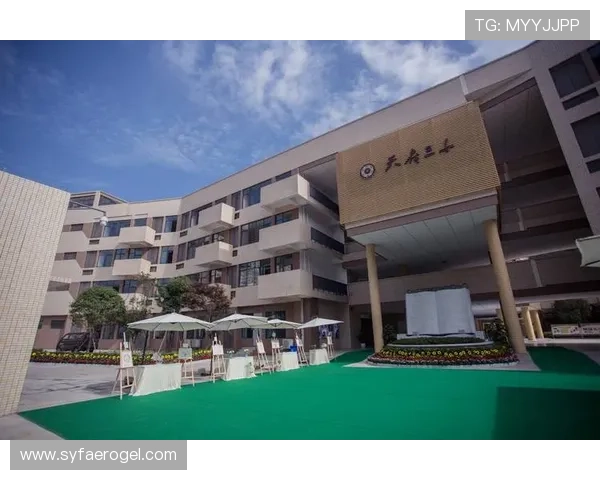 成都足球队选拔赛特别报道：从传统到现代的全面转型之路探秘