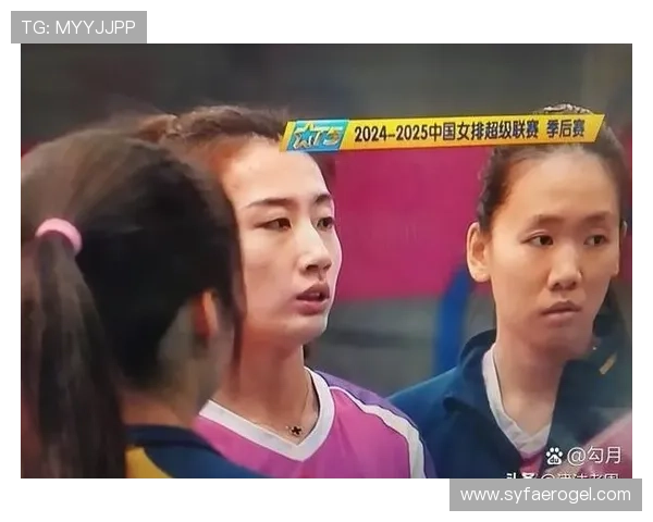 杭州排球队团队协作引发热议球迷对战术配合产生分歧