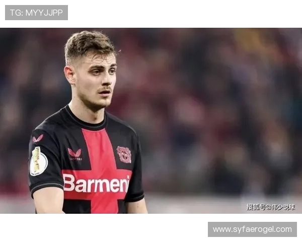 克罗地亚足球明星索萨的辉煌历程与未来展望