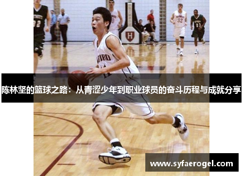 陈林坚的篮球之路：从青涩少年到职业球员的奋斗历程与成就分享